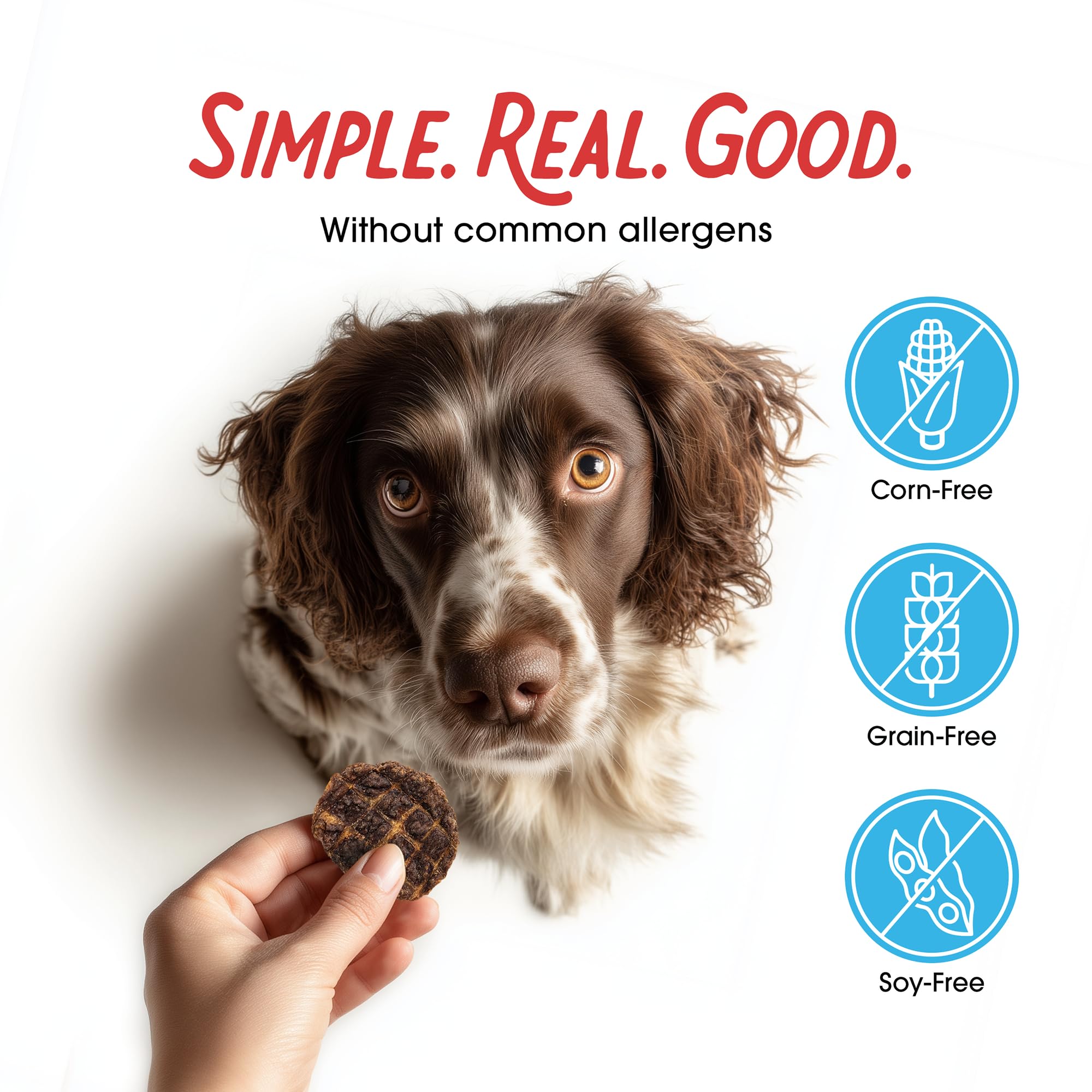 Farmland Traditions – convient à toutes tailles de chiens, faciles à partager.