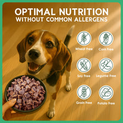 Farmland Traditions – texture sèche et tendre qui ravit les chiens exigeants et facilite la mastication
