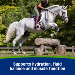 Farnam Apple Elite Cheval - cheval buvant pour favoriser l'hydratation.