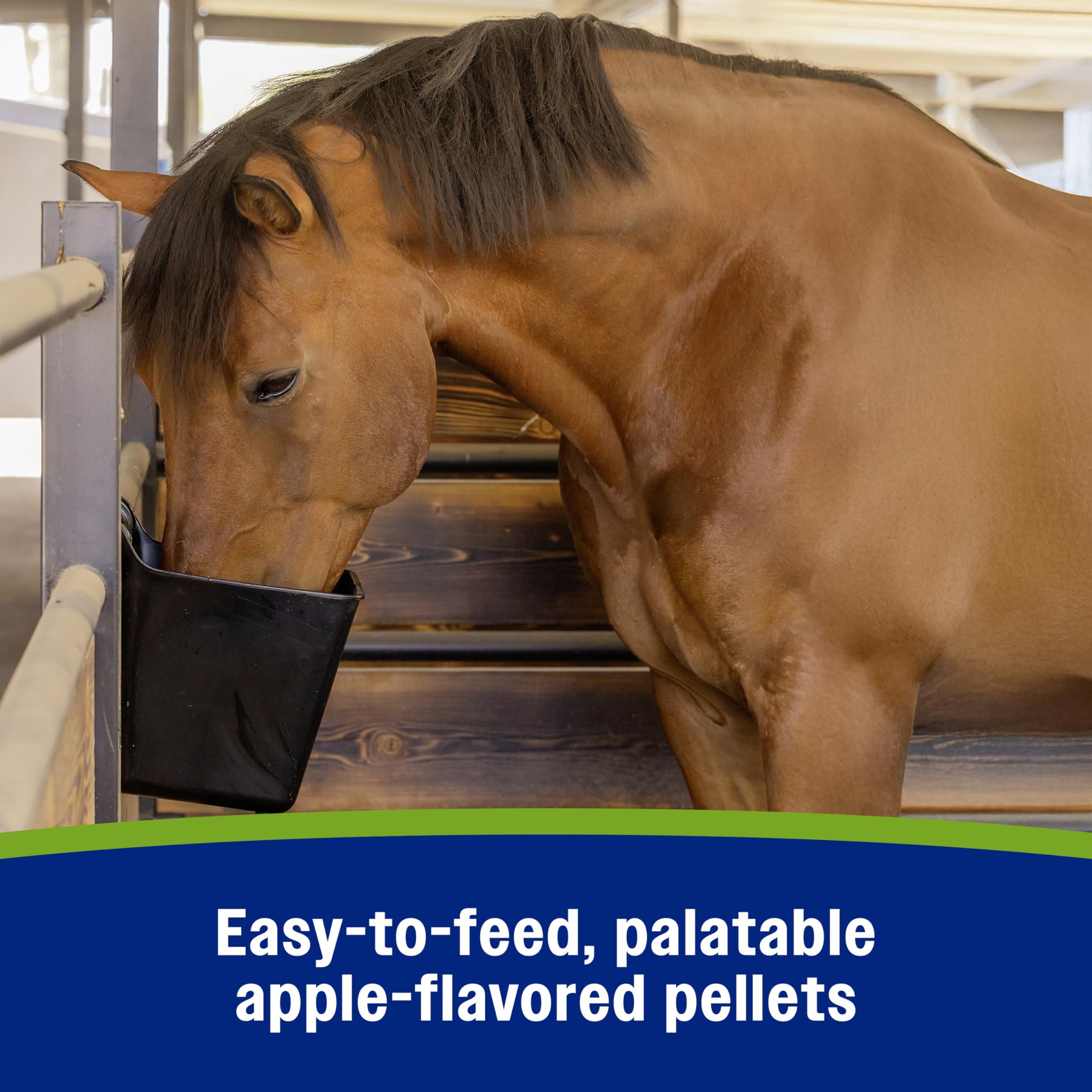 Farnam Apple Elite équilibre hydratation utile en conditions chaudes ou froides.