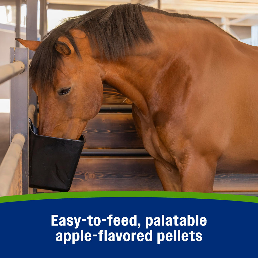 Farnam Apple Elite équilibre hydratation utile en conditions chaudes ou froides.