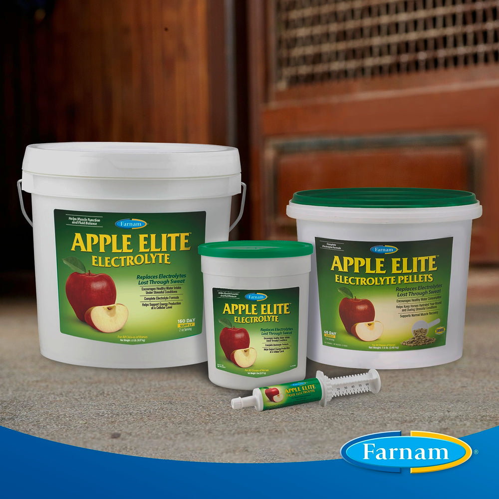 Pour endurance – Apple Elite soutient les besoins en électrolytes des chevaux