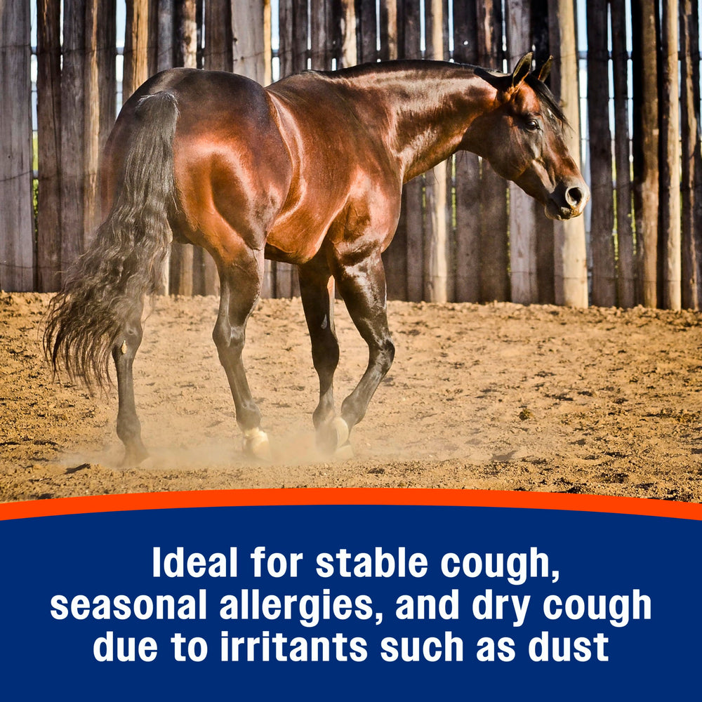 Cheval en stalle utilisant Farnam Cough Free en espace clos