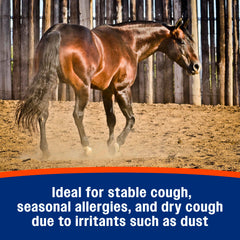 Cheval en stalle utilisant Farnam Cough Free en espace clos