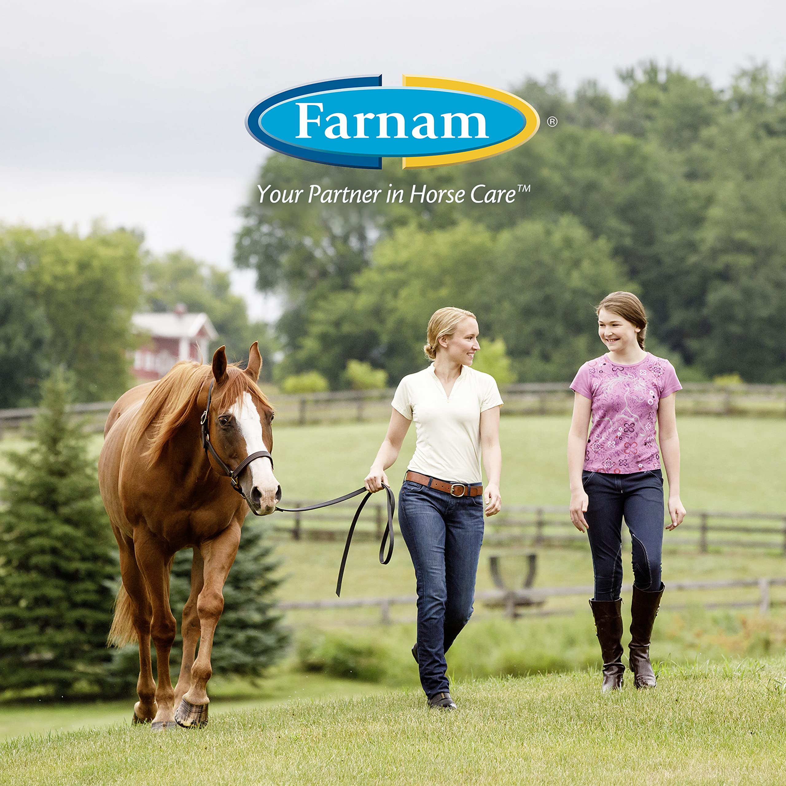 Farnam EQUI-SPOT pâturages: protection pratique pour chevaux en plein air.