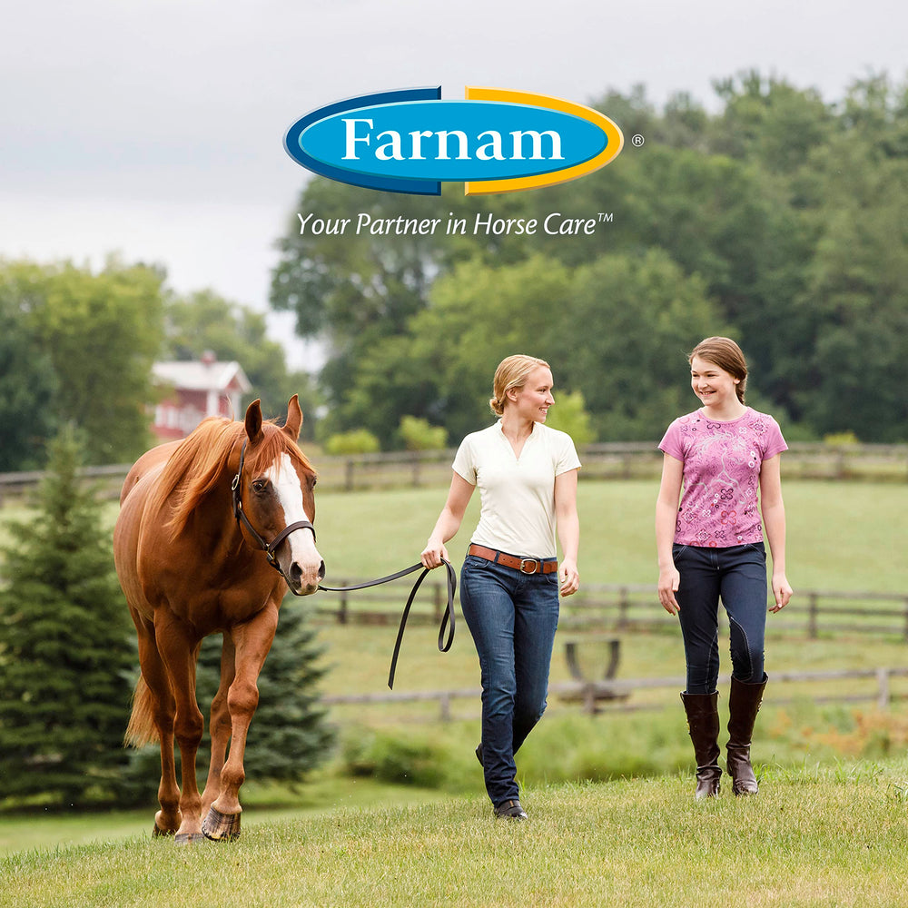 Farnam EQUI-SPOT pâturages: protection pratique pour chevaux en plein air.