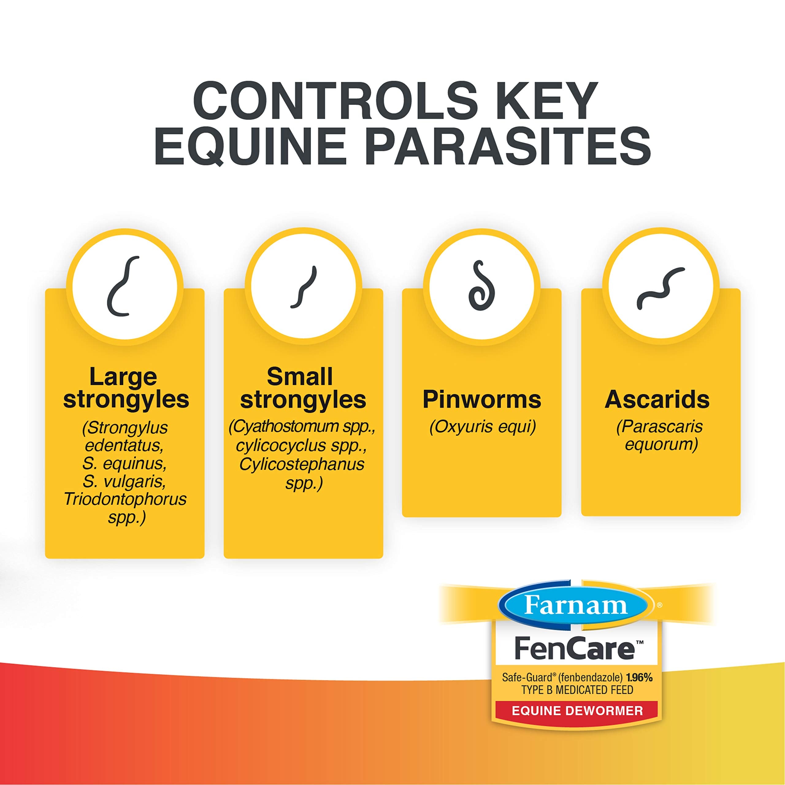 FenCare Safe-Guard contrôle les grands et petits strongyles chez le cheval.