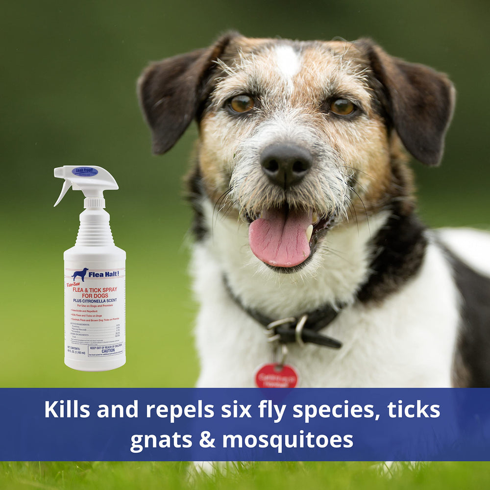 Farnam Halt application sur chien, utilisation domestique pratique pour le pelage.