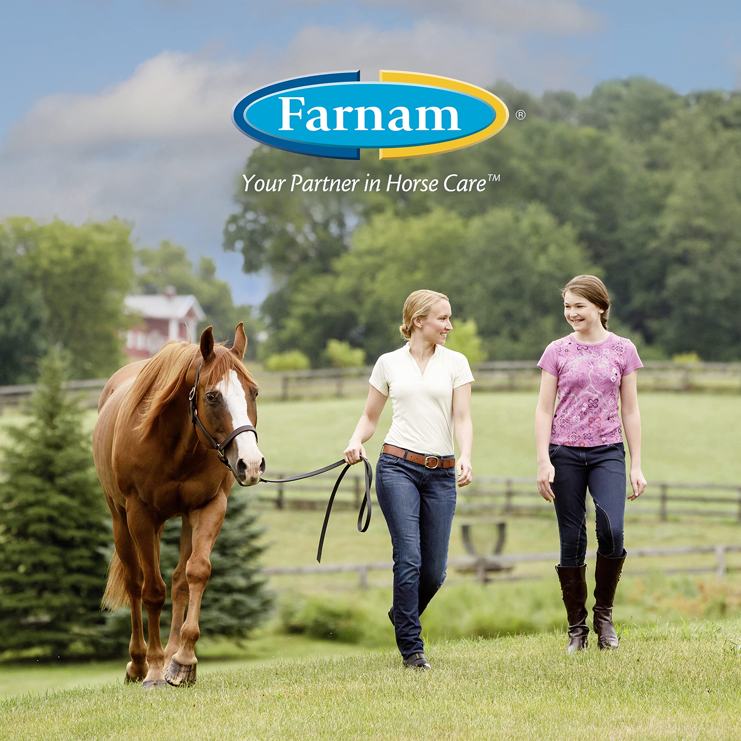 Option idéale pour chevaux de tout niveau d’activité via Farnam Horseshoer’s Secret.