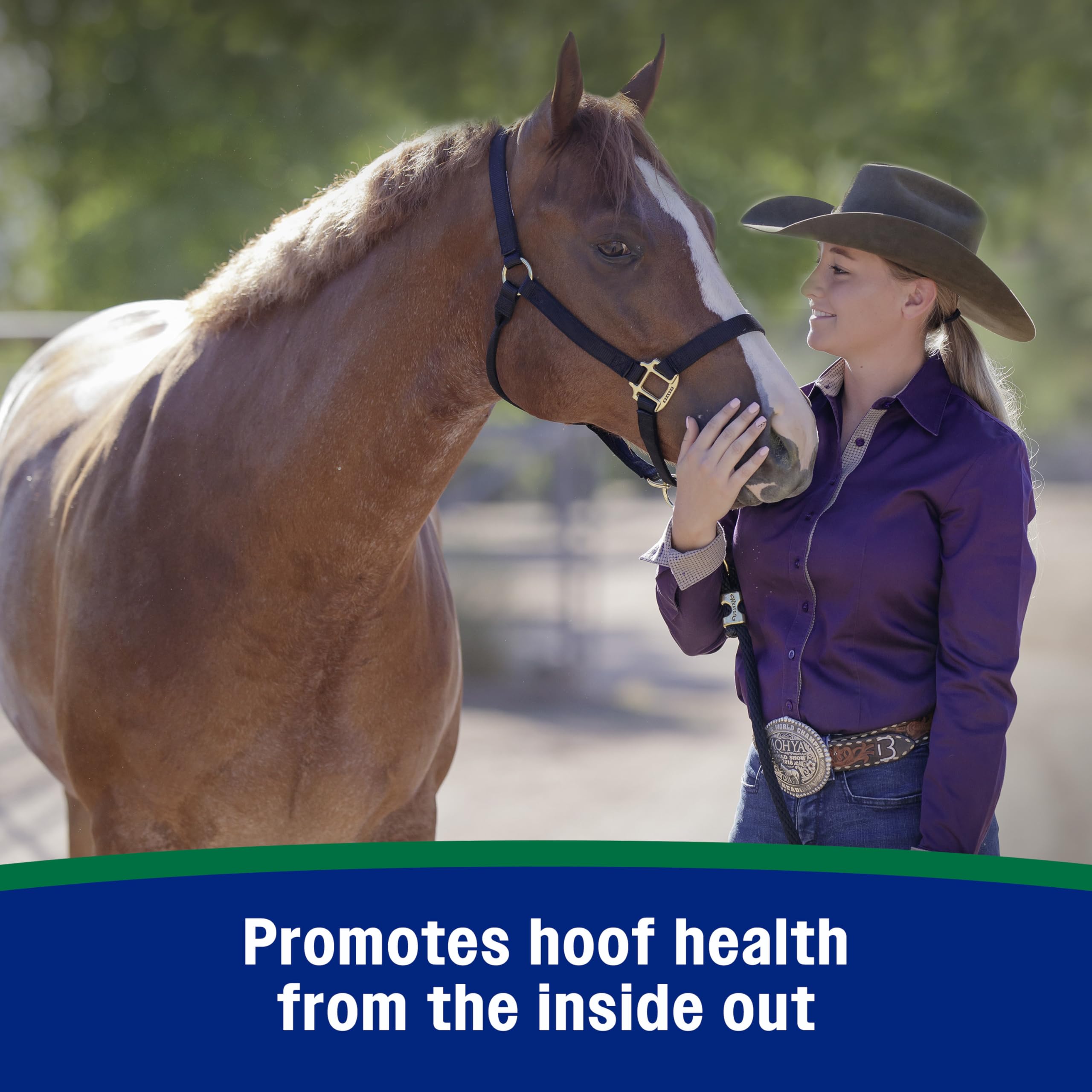 Farnam Horseshoer’s Secret biotine et acides amines pour le developpement sain des sabots.