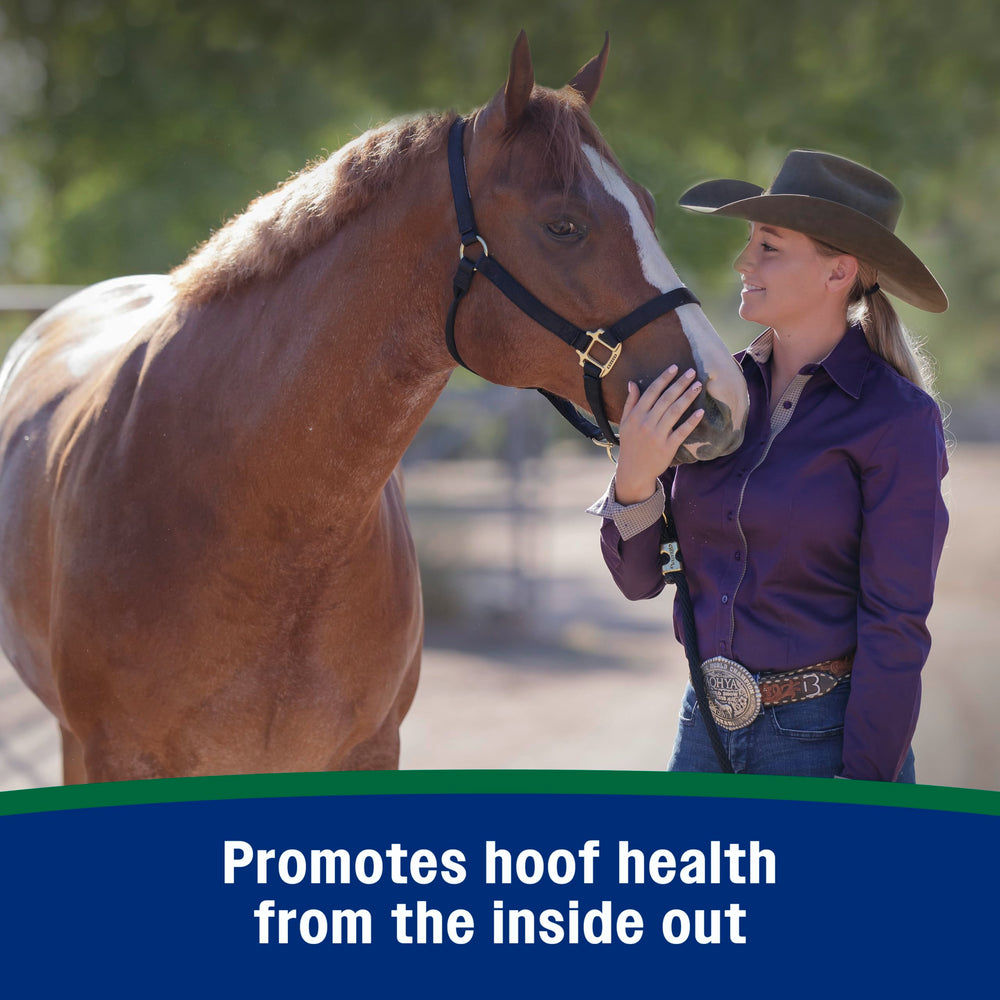 Farnam Horseshoer’s Secret biotine et acides amines pour le developpement sain des sabots.