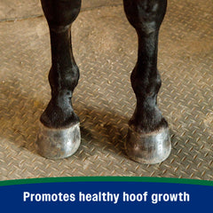 Farnam Horseshoer’s Secret omega3-6 et minéraux, prévention des fissures.