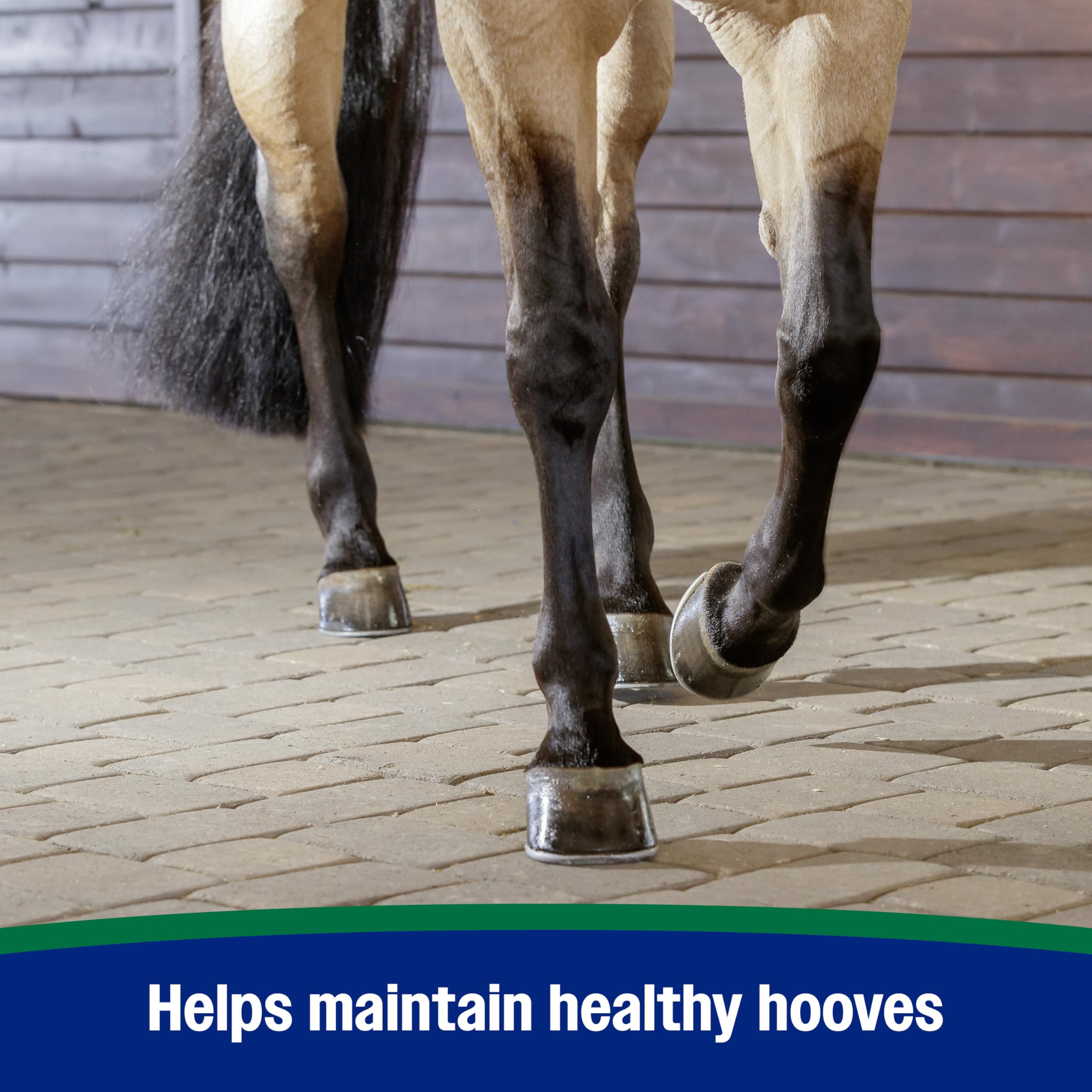 Farnam Horseshoer’s Secret soutien des tendons et ligaments pour une meilleure flexion.