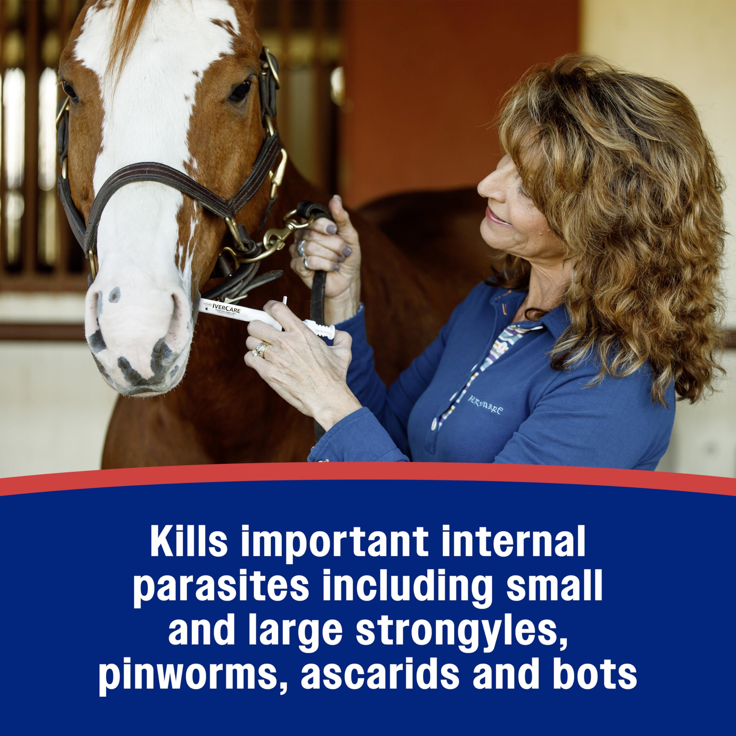 Cheval recevant Farnam IverCare, antiparasitaire efficace en une dose.