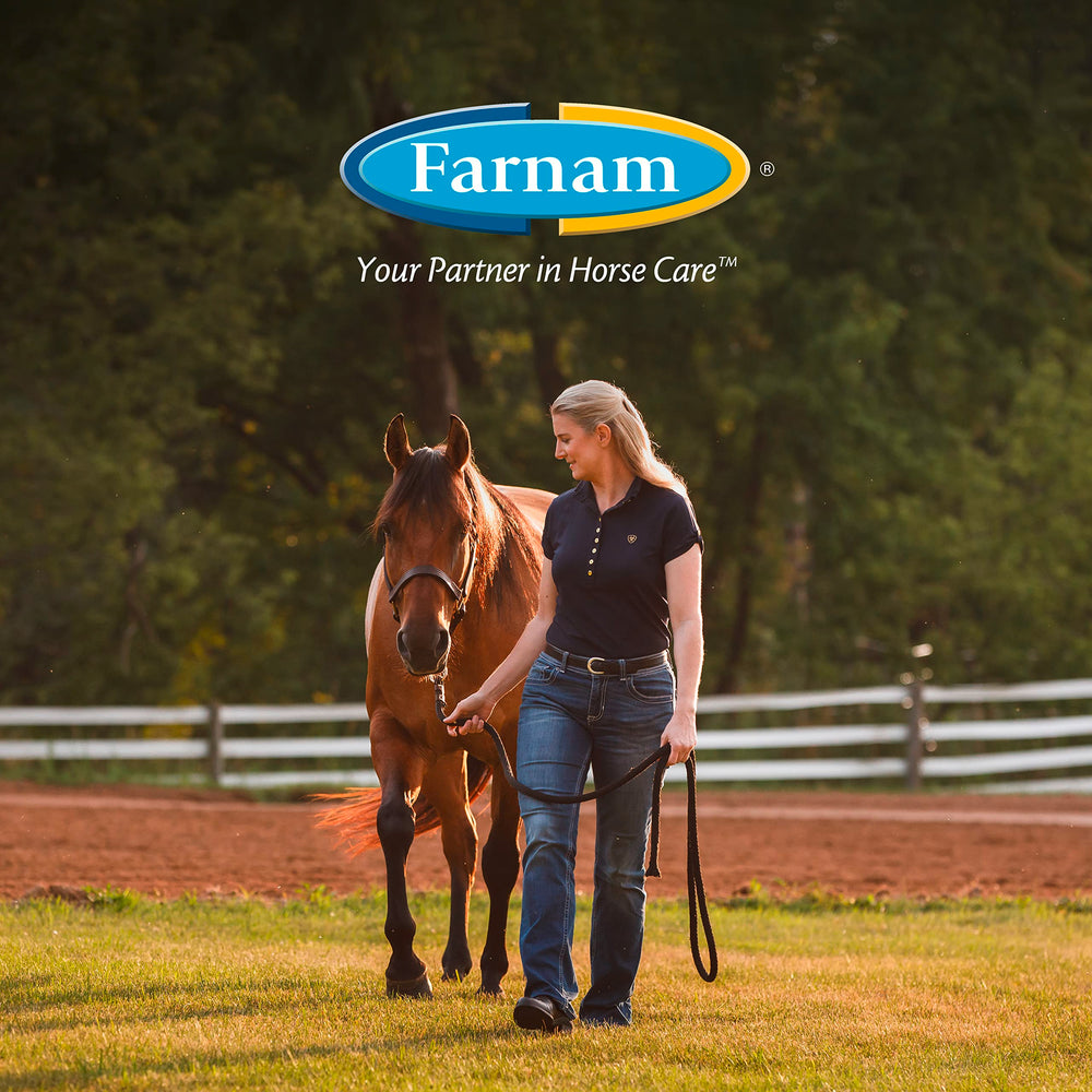 Utilisation facile: versement direct dans la ration du cheval.