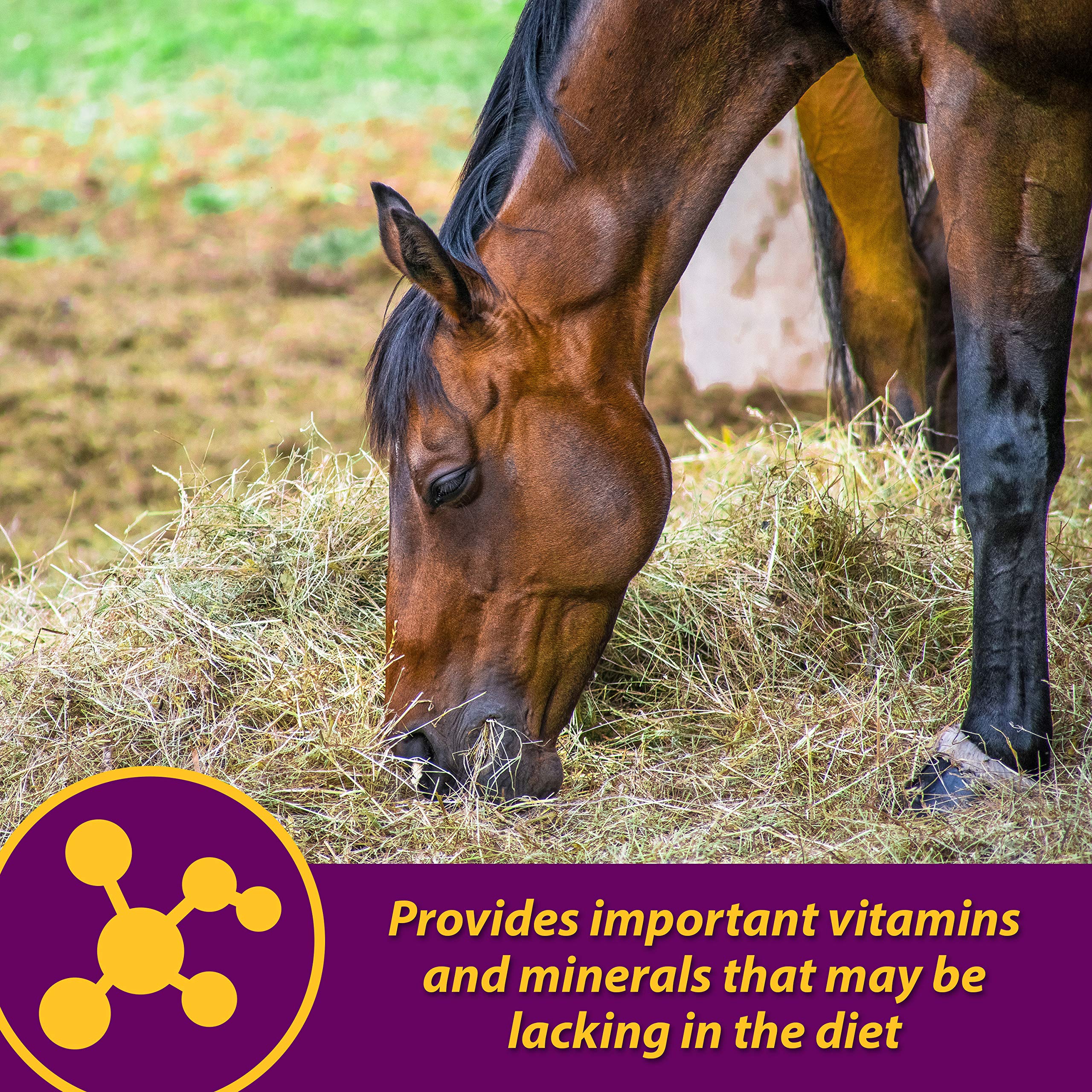 Farnam Red Cell — mélangé dans la ration quotidienne du cheval