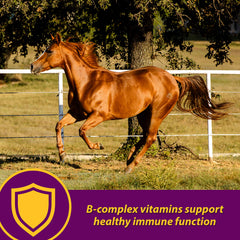 Farnam Red Cell — doseur quotidien pour dosage précis
