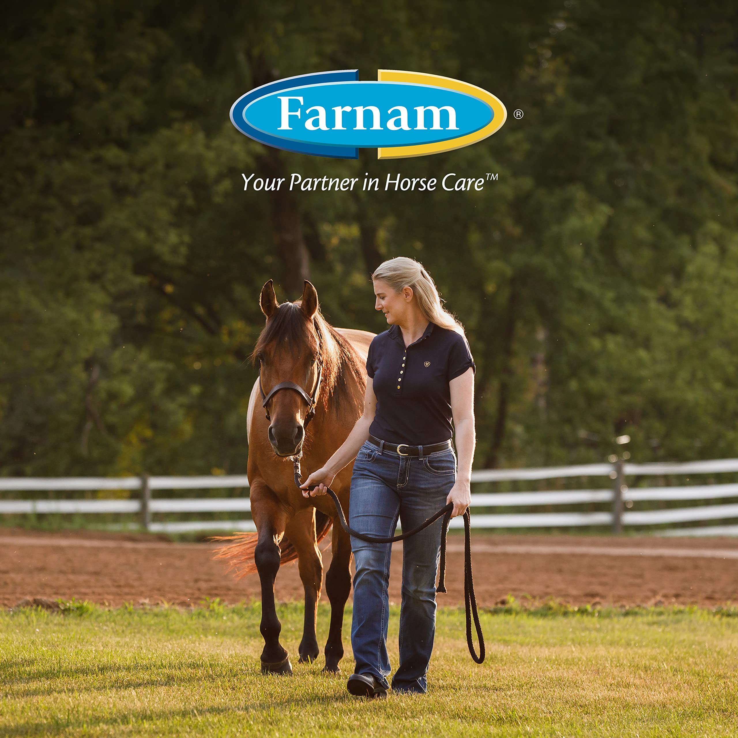 Farnam Roll-On anti-mouches autour des plaies et zones sensibles.