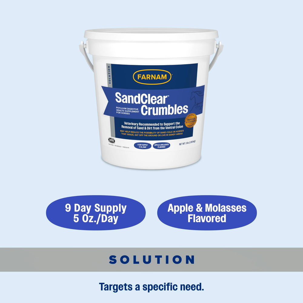 Cheval mangeant SandClear mélangé à sa ration
