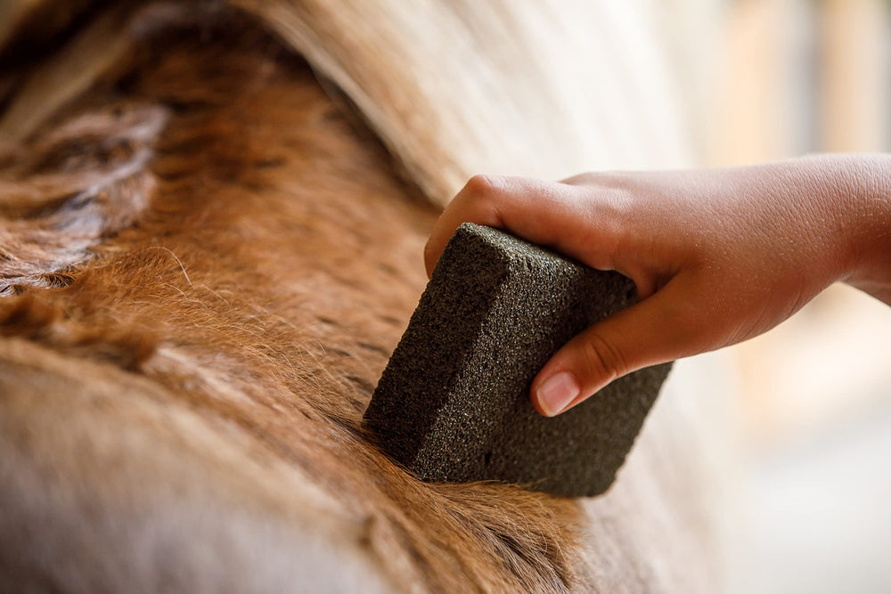 Farnam Slick 'N Easy dépoussiérage-cheval entre bains, poussière éliminée.
