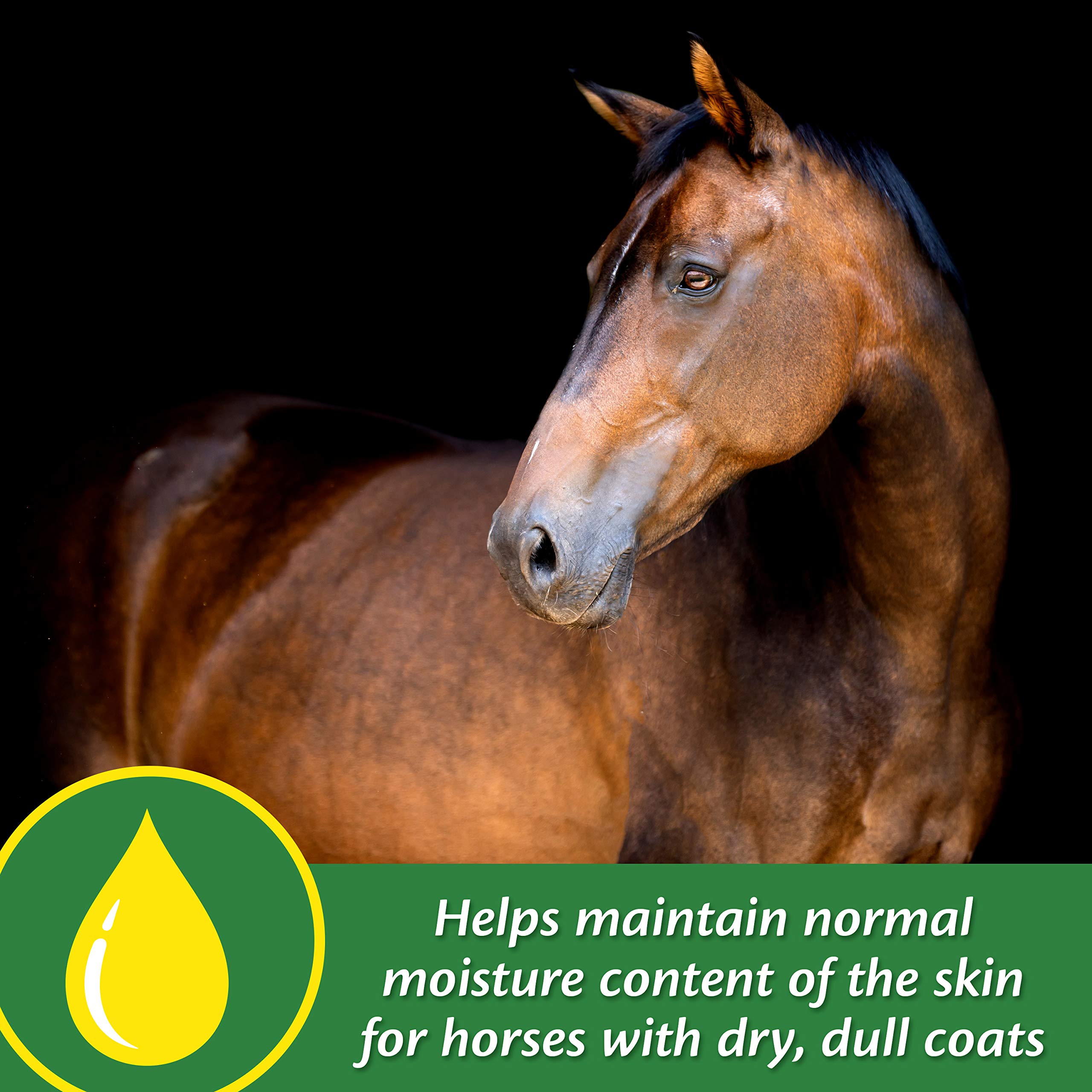 Farnam Super 14—hydratation naturelle de la peau.