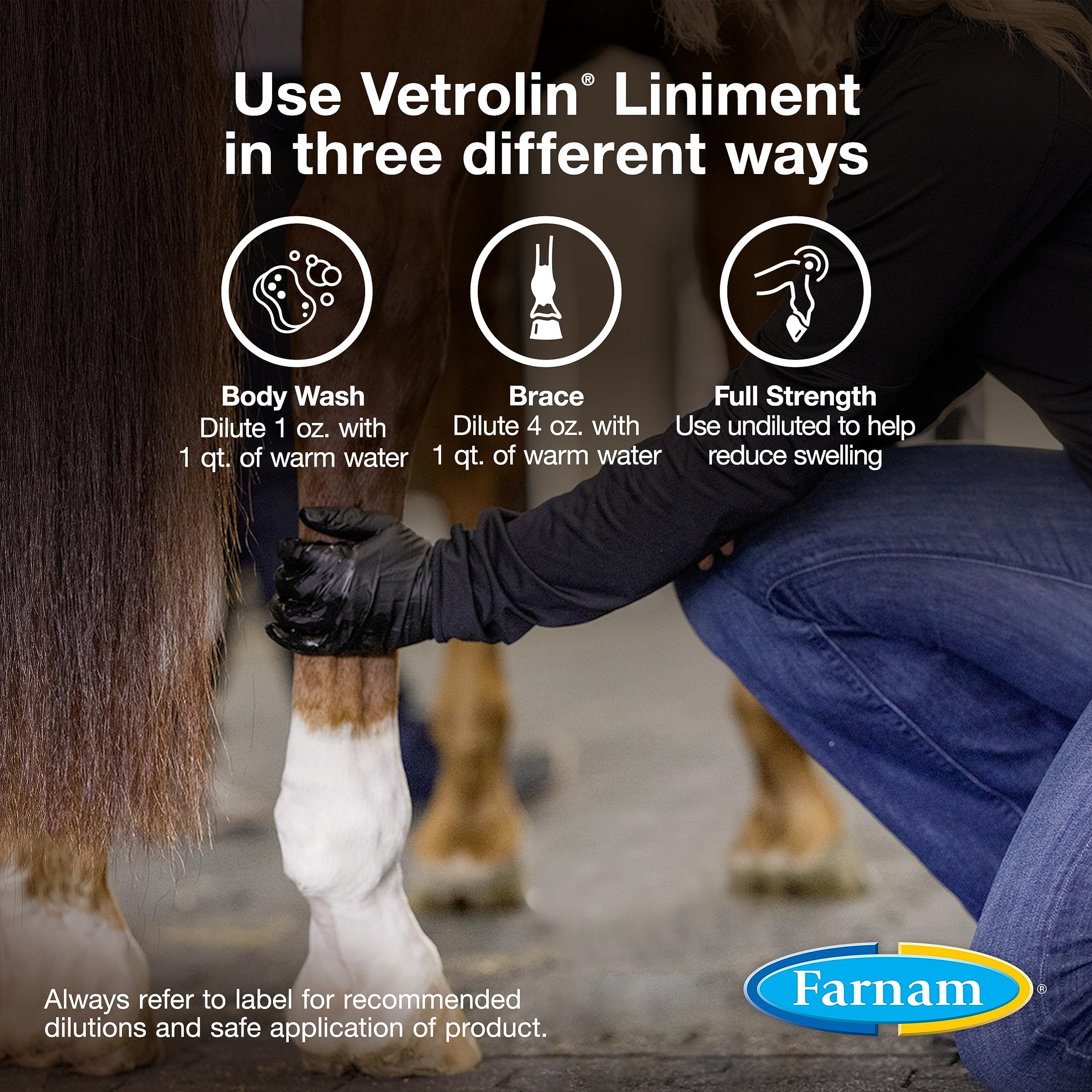 Massage doux post‑effort pour détente musculaire du cheval avec Vetrolin.
