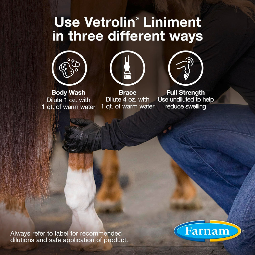 Massage doux post‑effort pour détente musculaire du cheval avec Vetrolin.