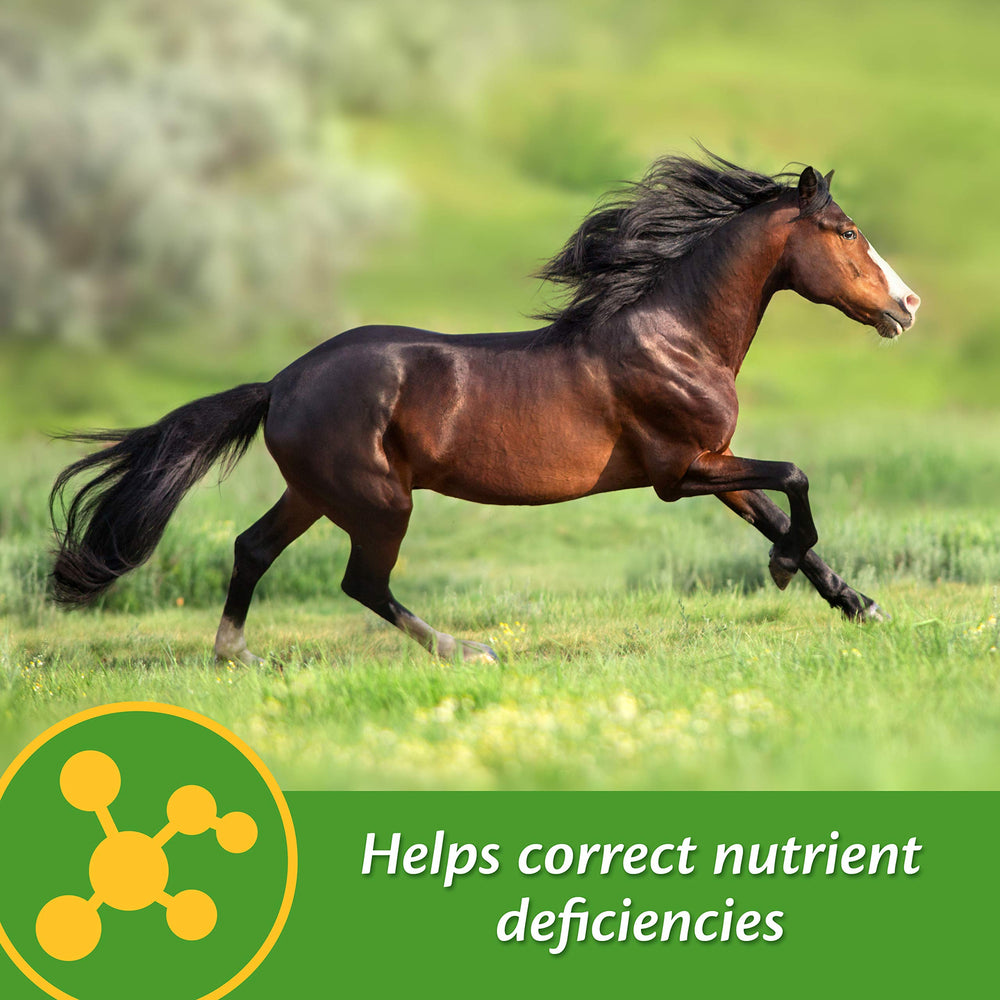 Farnam Vita-Min E et Selenium étiquette : informations nutritionnelles pour chevaux.