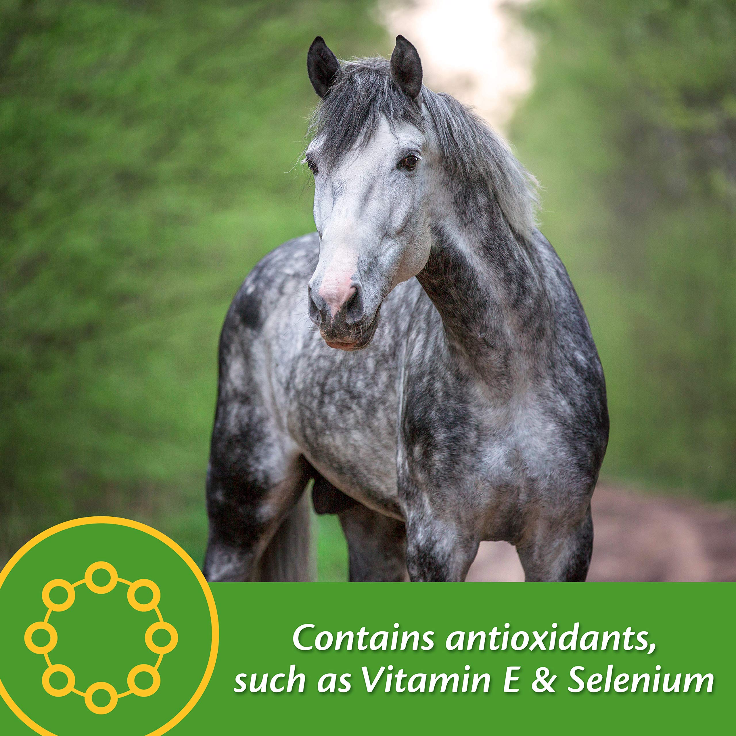 Farnam Vita Plus contient antioxydants pour protéger les cellules et soutenir l'effort.