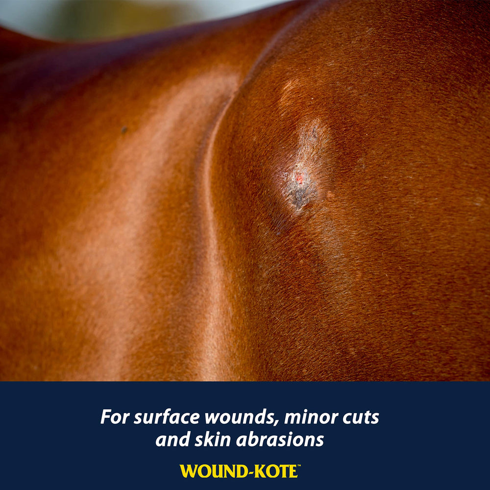 Farnam Wound-Kote application cheval: antiseptique pour blessures superficielles