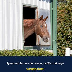 Farnam Wound-Kote application chien: protection contre les infections secondaires