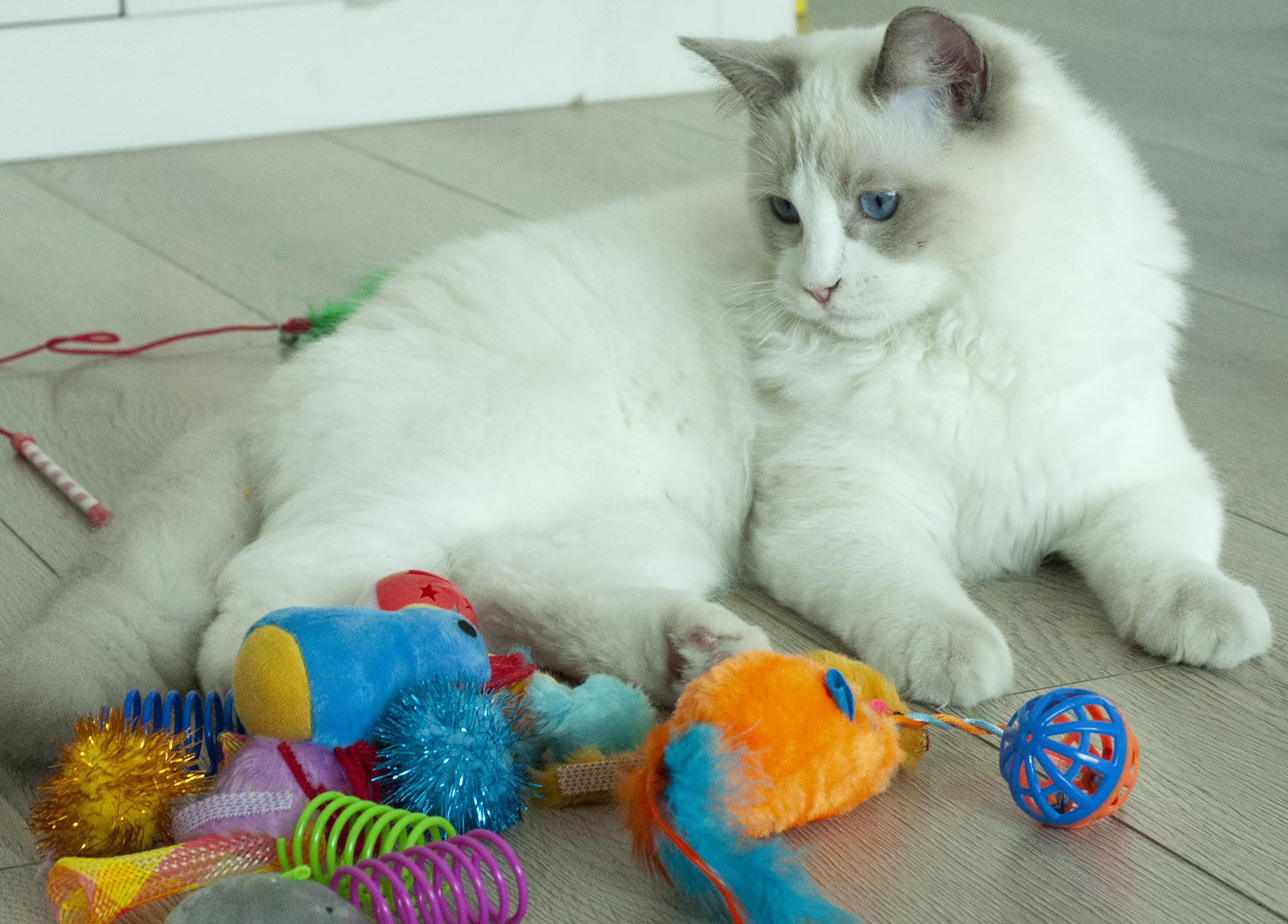 Fashion's Talk – peluches douces parfaites pour câlins et jeux rassurants.