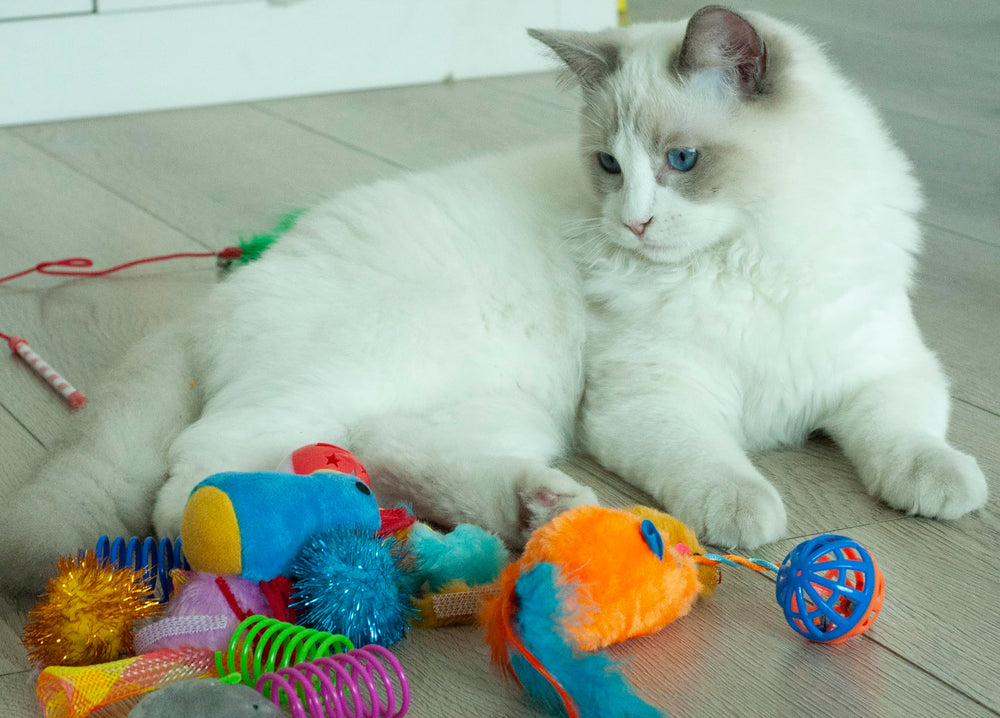 Fashion's Talk – peluches douces parfaites pour câlins et jeux rassurants.