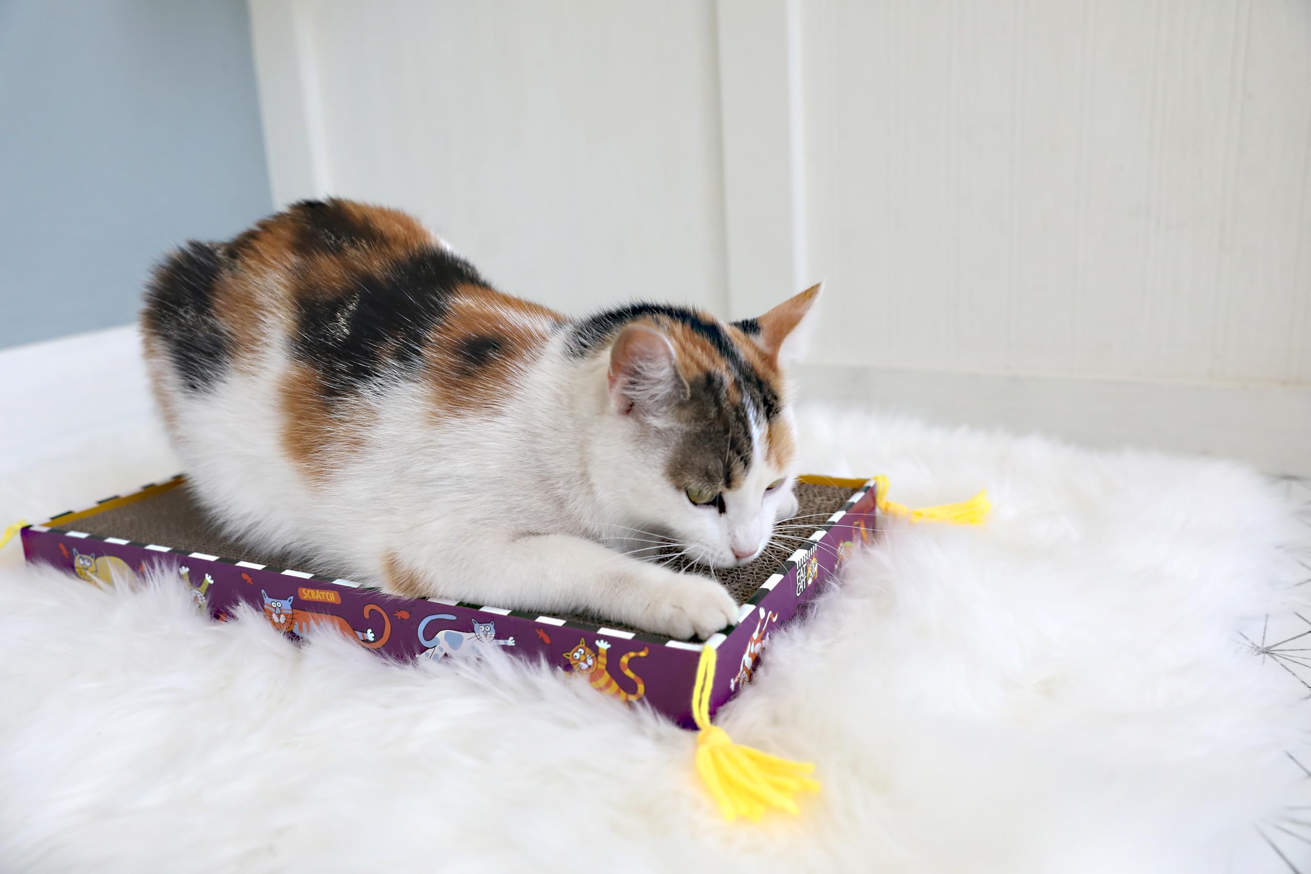 Fat Cat Big Mama's jouet inclus infusé d’herbe à chat