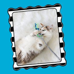 FatCat Tadpole : pendant-dangle-chat-jouet-interactif favorise jeux actifs et complicité