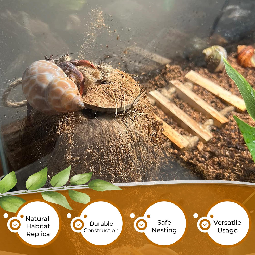 Favozio Cachette naturelle: idéale pour géckos et petits animaux.
