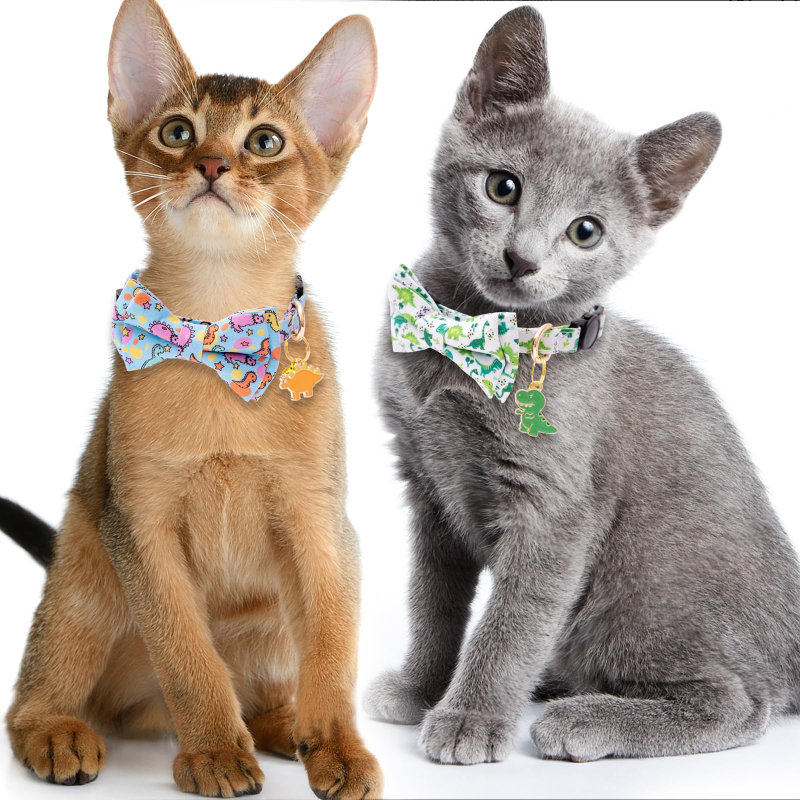 Faygarsle collier usage quotidien, parfait pour chats mâles et femelles au printemps.