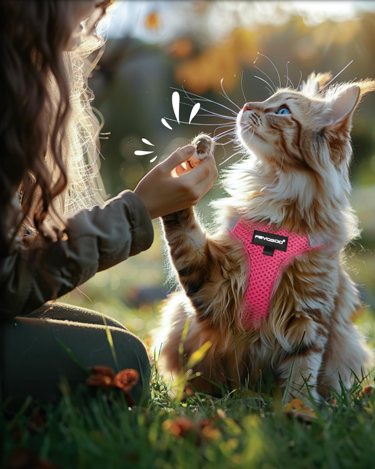 Ensemble Fayogoo rose pour promenade et camping, parfait pour les voyages en plein air.