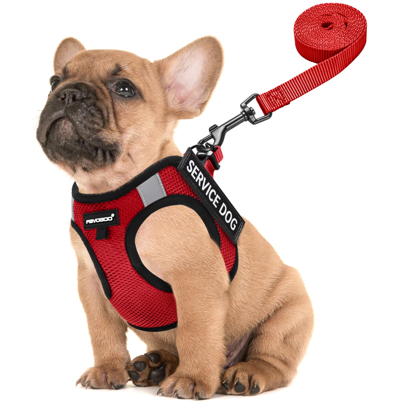 Gilet Fayogoo pour petit chien, léger et confortable pendant les promenades