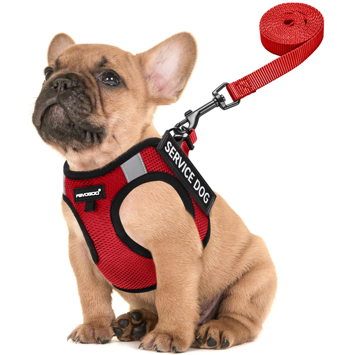 Gilet Fayogoo pour petit chien, léger et confortable pendant les promenades