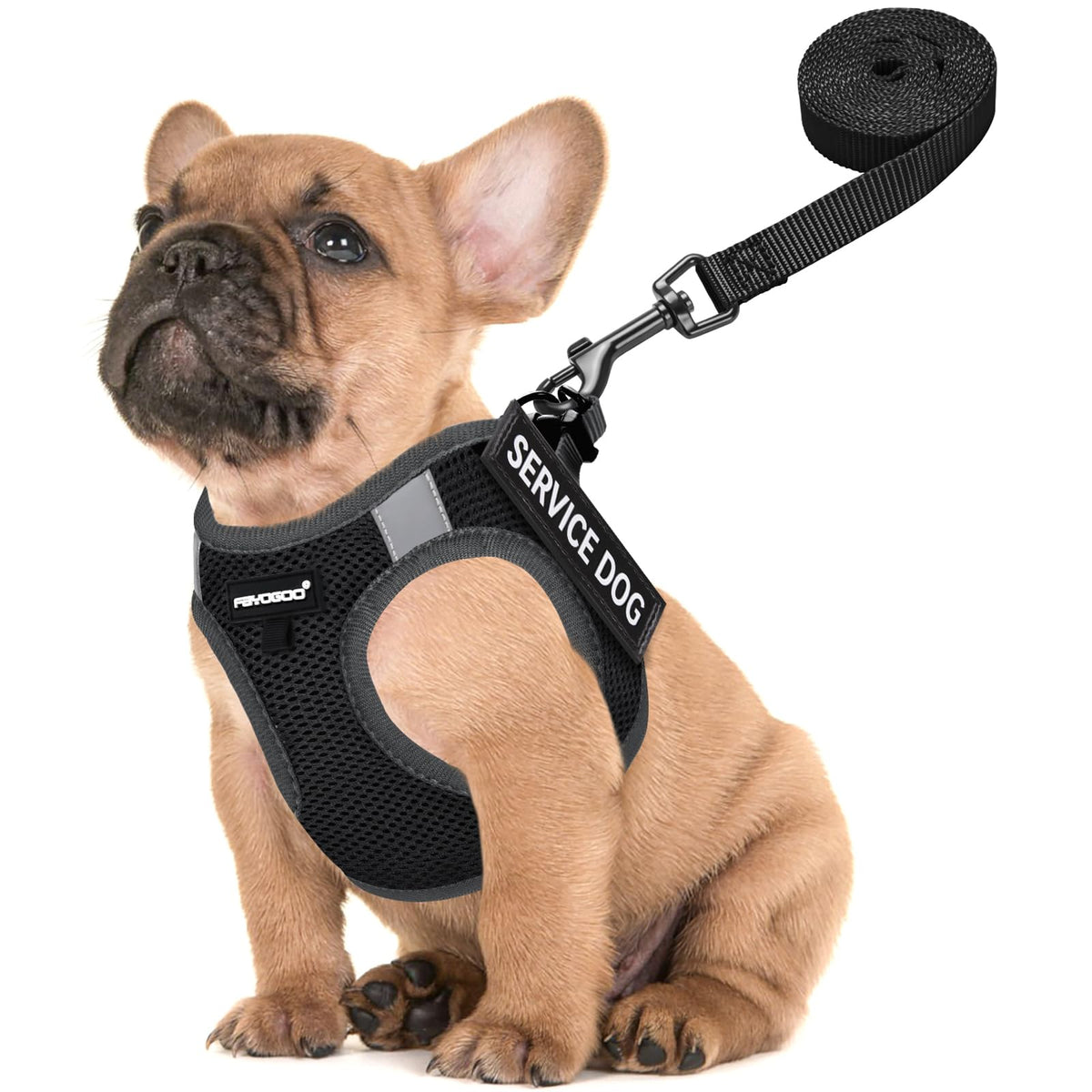 Gilet Fayogoo pour petit chien en mesh léger, confort lors des promenades.