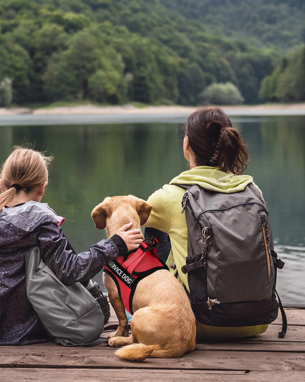 Guide des tailles Fayogoo XS à L pour petits et moyens chiens