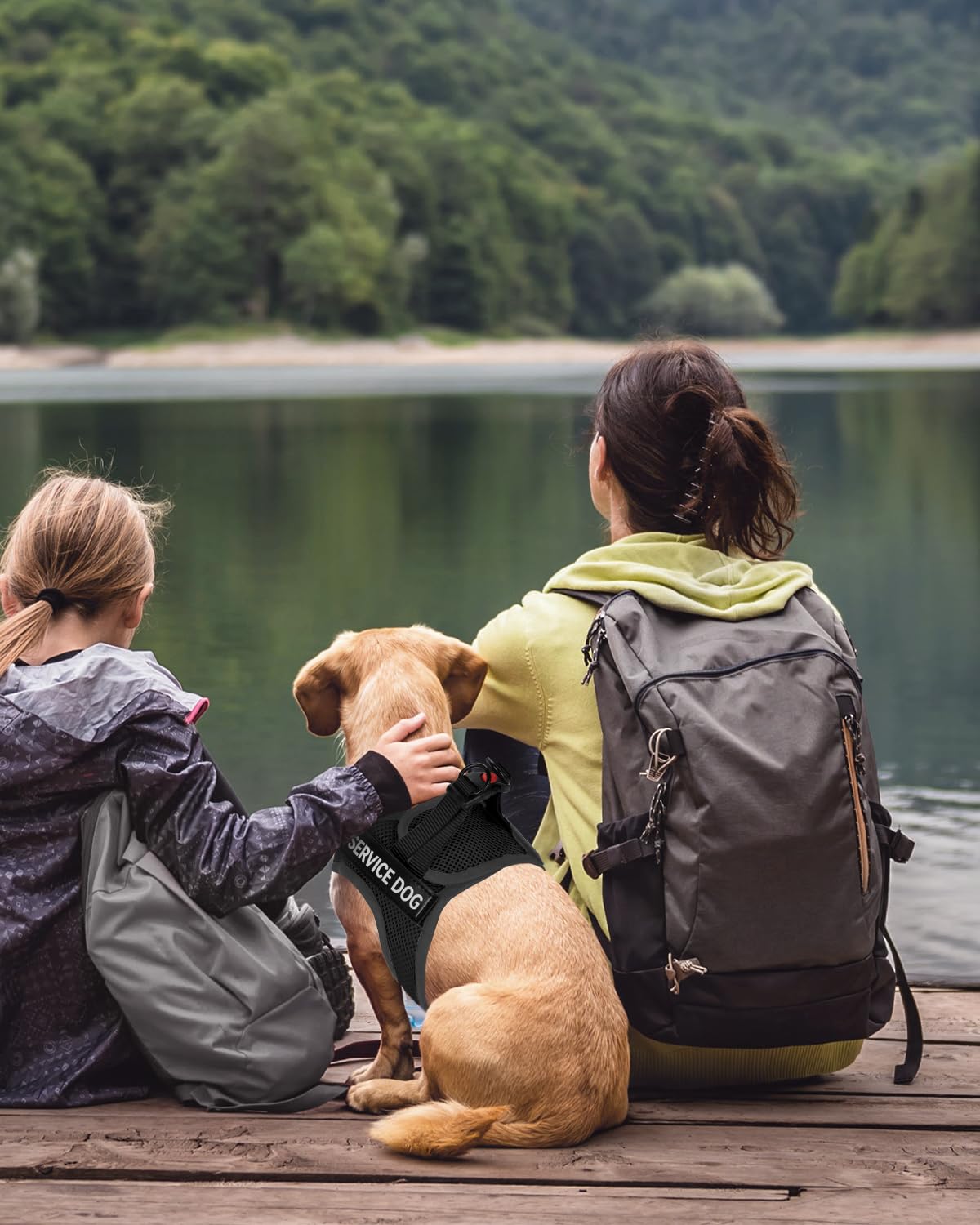 Guide des tailles Fayogoo XS à L pour un ajustement idéal des petits chiens.