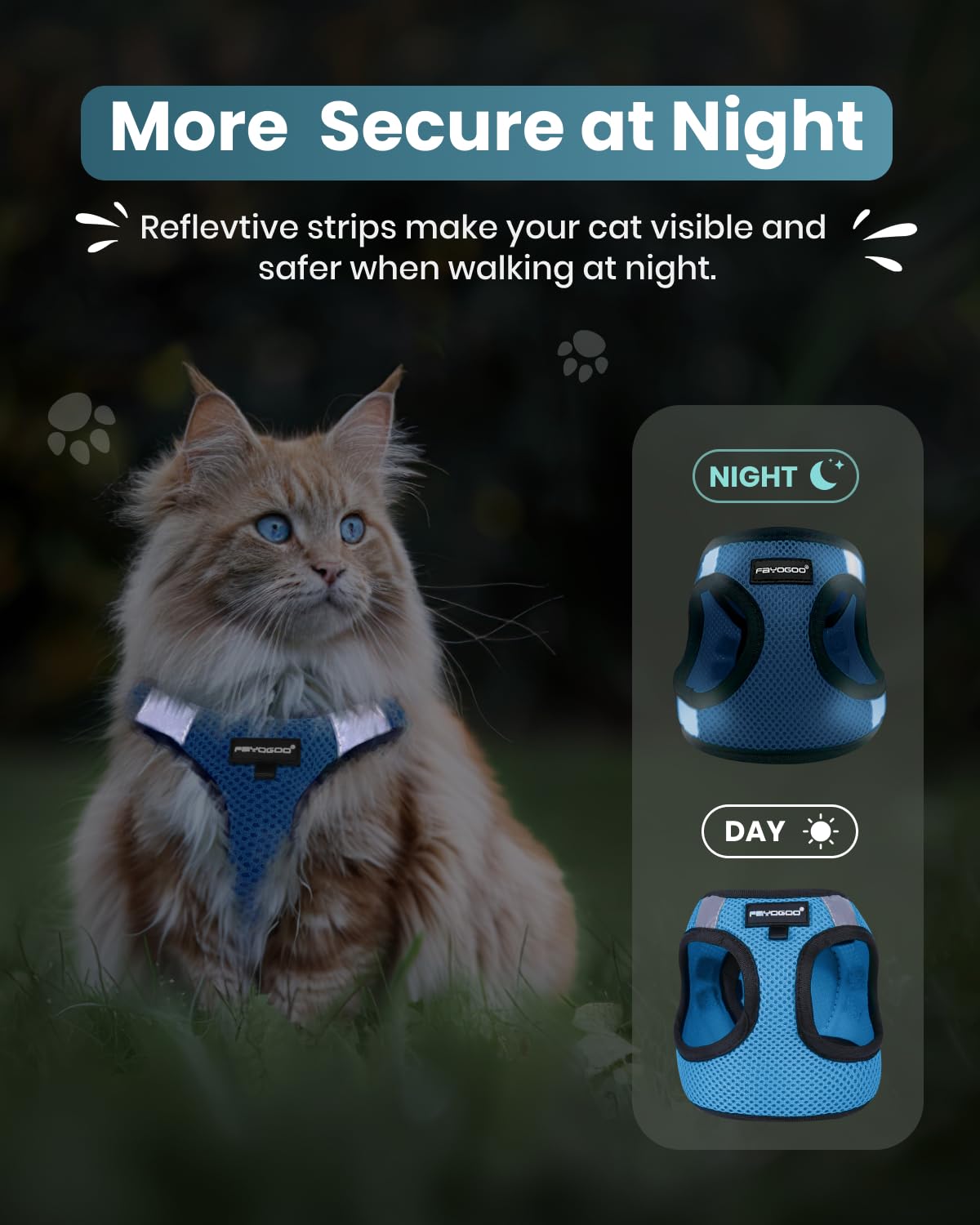 Bande réfléchissante pour une promenade nocturne plus sûre.