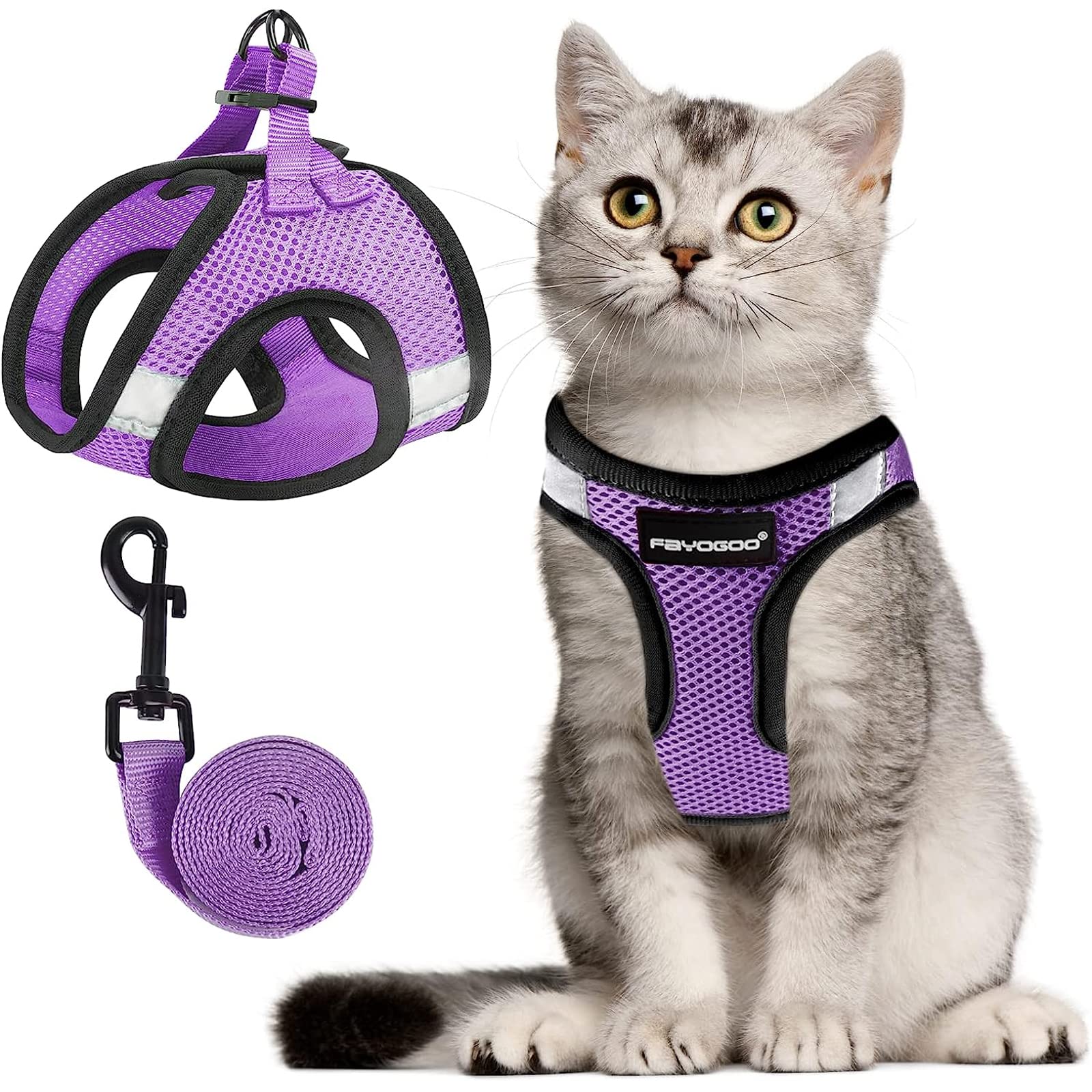 Harnais FAYOGOO pour chat violet moderne, sécurité lors des promenades.