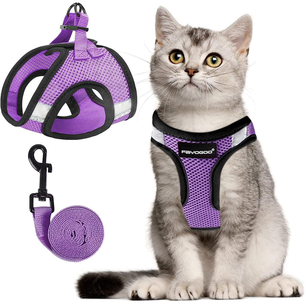Harnais FAYOGOO pour chat violet moderne, sécurité lors des promenades.