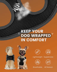 Harnais Fayogoo service petit chien, confort des épaules pour les sorties.