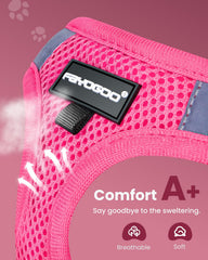 Laisse FAYOGOO rose 5 pieds pour plus de liberté et sécurité.
