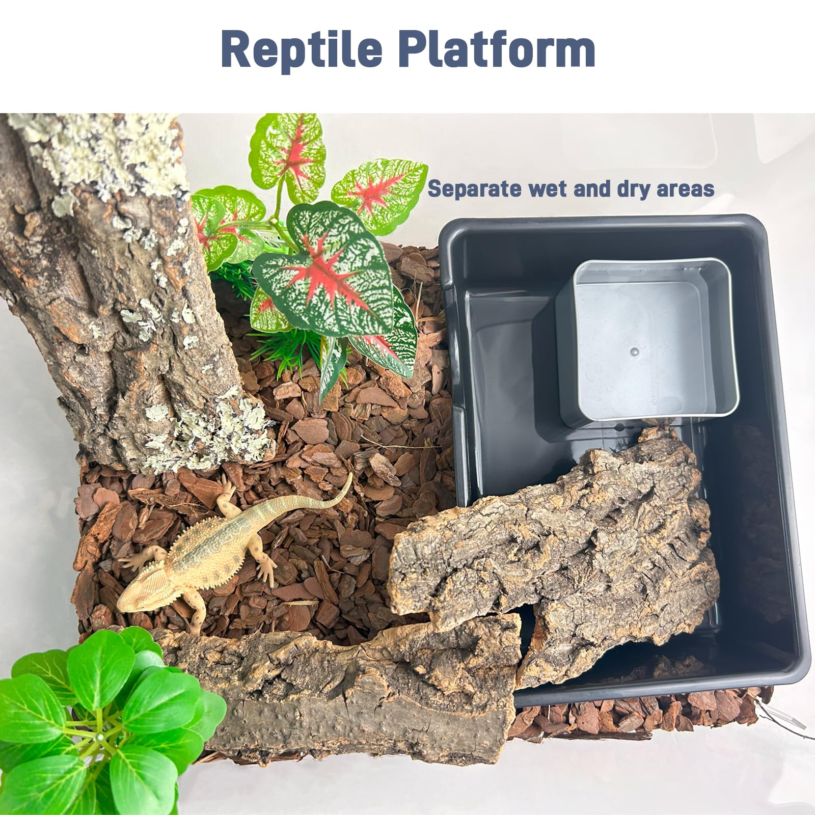 FCALIVV cachette humide décor naturel, s'intègre au décor du terrarium.
