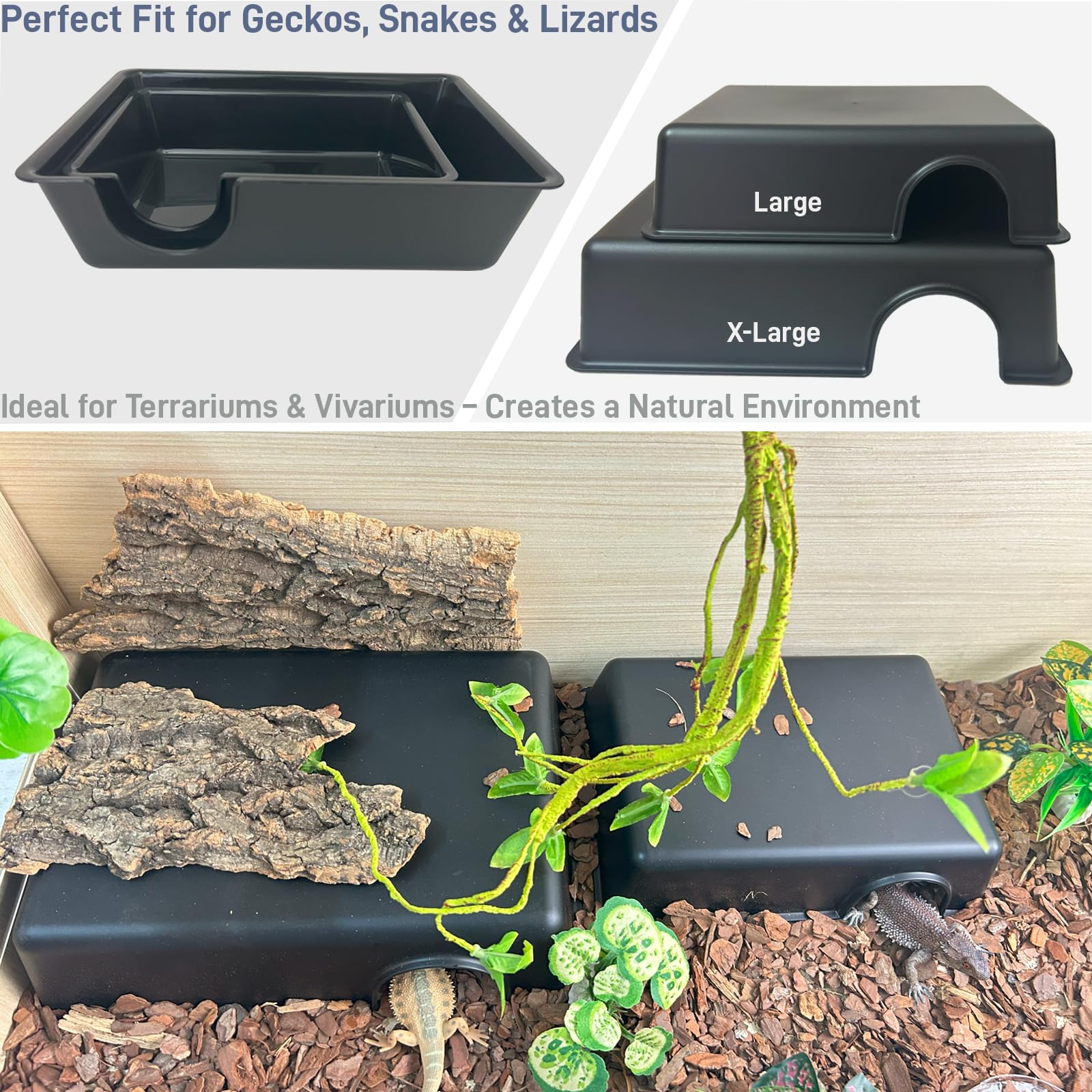 FCALIVV refuge dragon-barbu habitat sûr et pratique